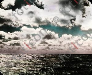 Das Meer und seine Bewohner --- The sea and his habitants